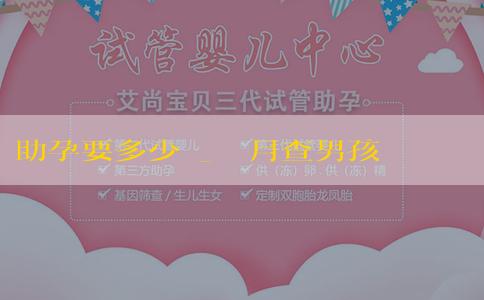 助孕要多少錢_幾個月查男孩女孩最準確？土方法有哪些？