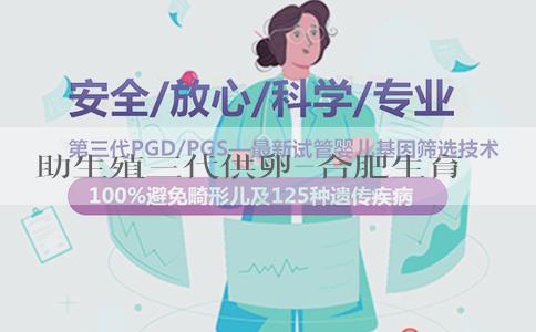 輔助生殖三代供卵-合肥生育津貼2023年新規是如何的？還有什麼政策？
